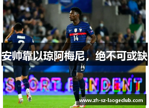 安帅靠以琼阿梅尼，绝不可或缺