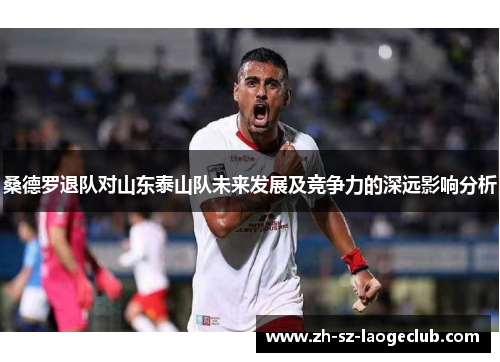 桑德罗退队对山东泰山队未来发展及竞争力的深远影响分析