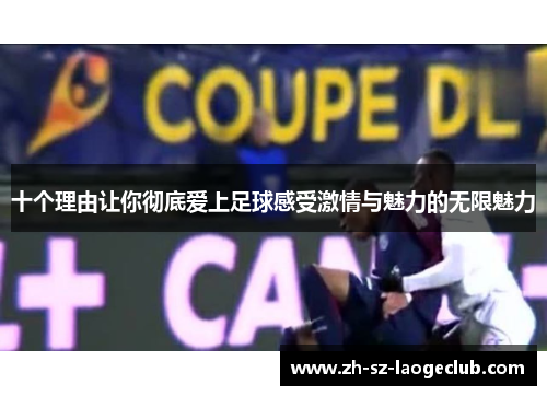 十个理由让你彻底爱上足球感受激情与魅力的无限魅力