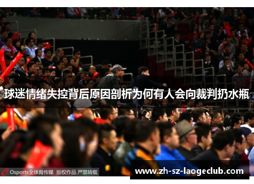 球迷情绪失控背后原因剖析为何有人会向裁判扔水瓶