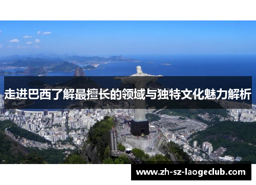 走进巴西了解最擅长的领域与独特文化魅力解析