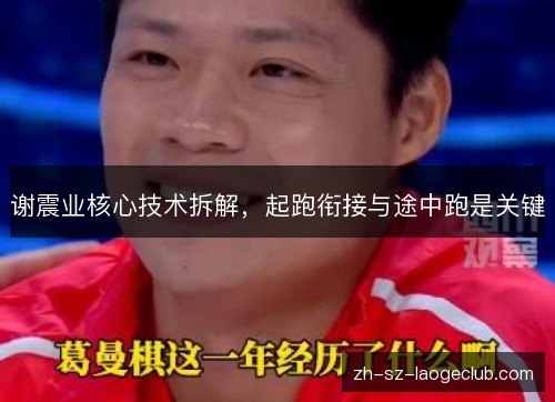谢震业核心技术拆解，起跑衔接与途中跑是关键