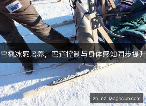 雪橇冰感培养，弯道控制与身体感知同步提升